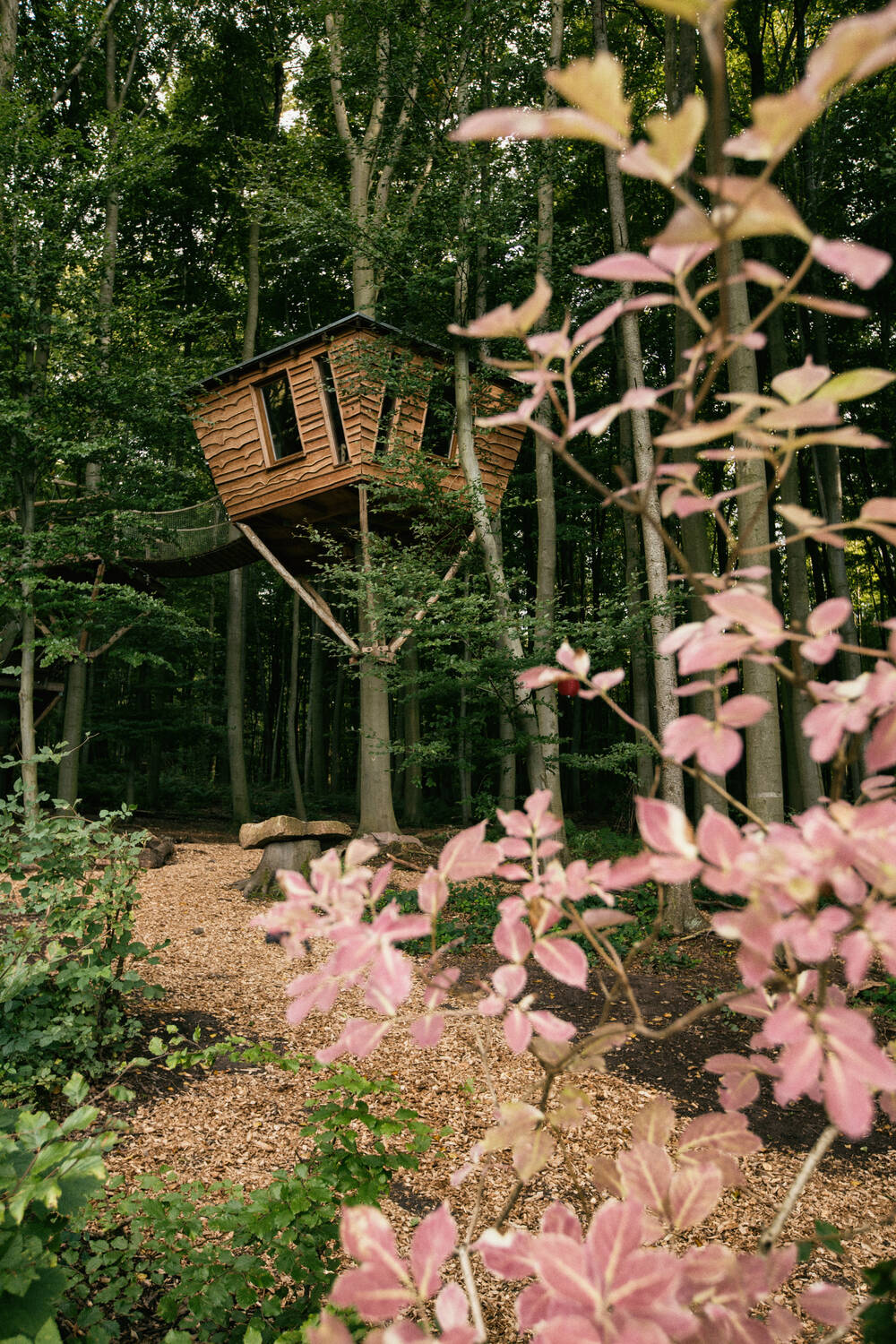 Wertgutschein Robins Nest